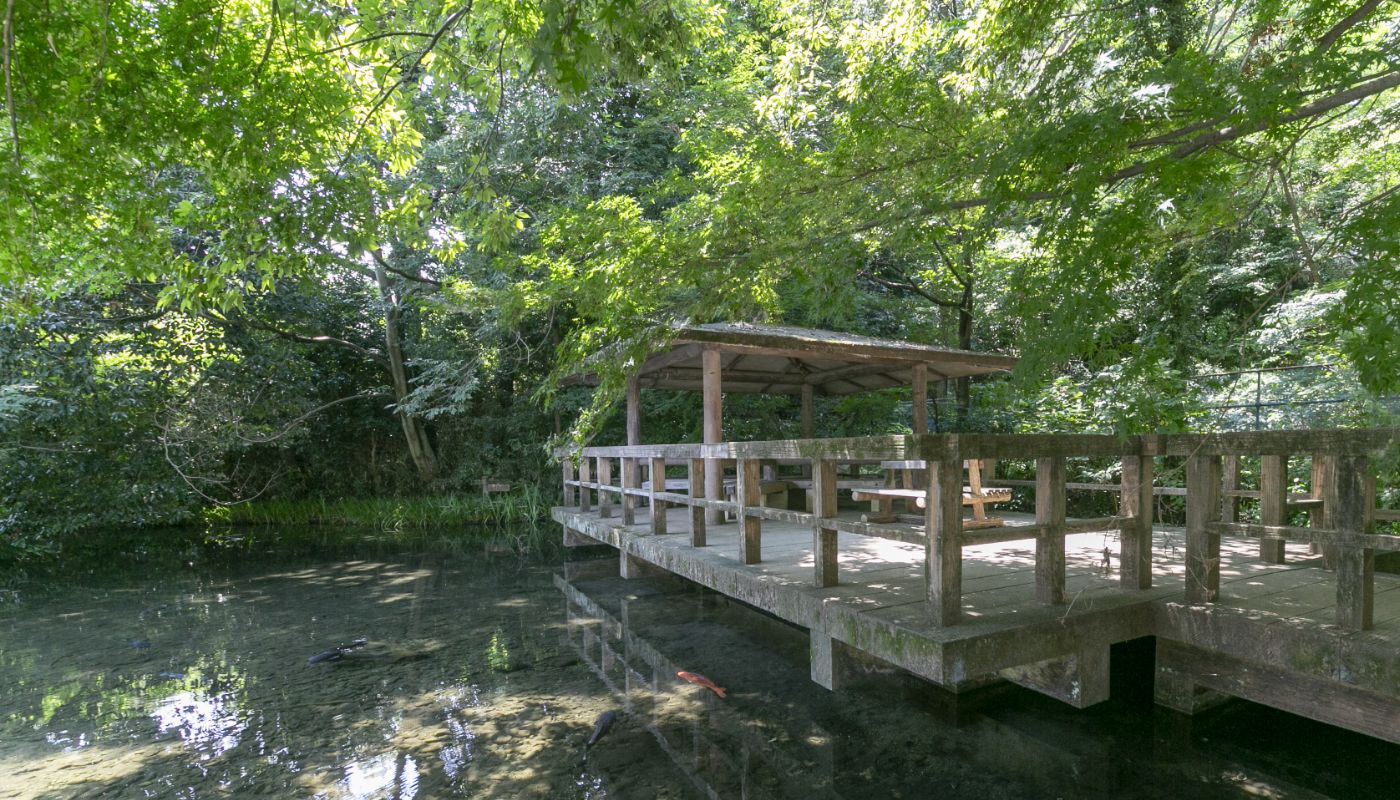 黒川清流公園